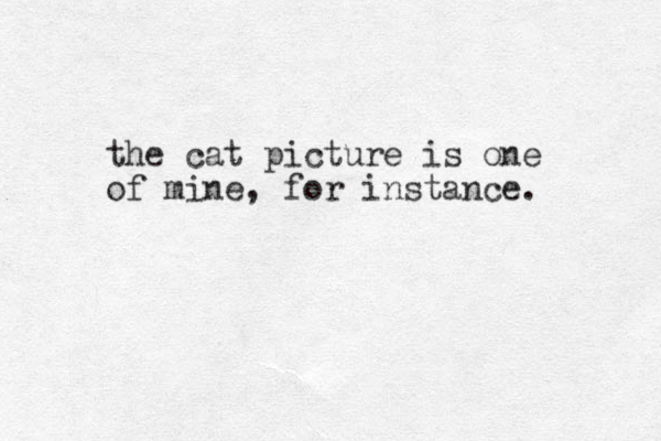 the cat picture is one of mine, for i stance. n 