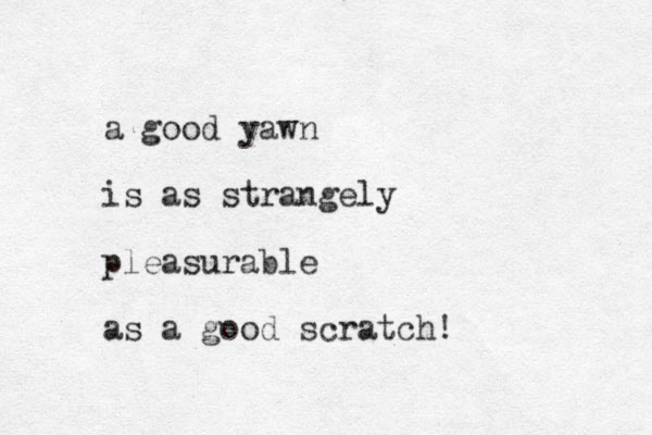 a good yawn is as strangely pleasurable as a good scratch! 