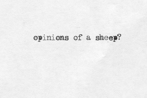 opinions of a sheep?