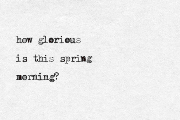 how glorious is this spring morning?