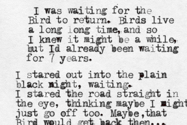 I was waiting for the Bird to return. Birds live a long long time and so I knew it might be a while , , but Id already been waiting for 7 years. I stared out into the plain black night, waiting. I stared the road straight in the eye, thinking maybe I might just go off too. Maybe that Bird would get back then... ,
