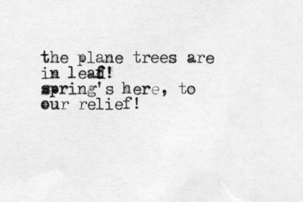 the plane trees are in lead f f! spring's here, to our relief! 