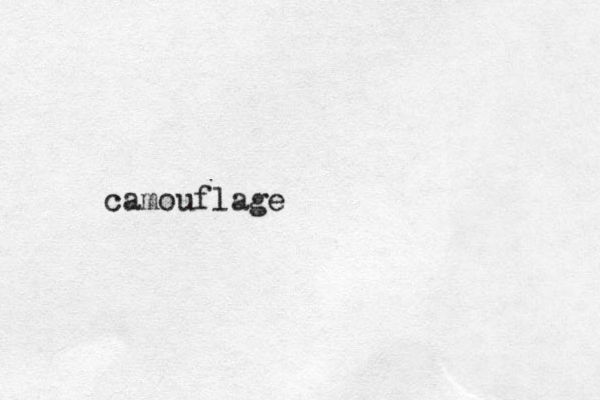 camouflage