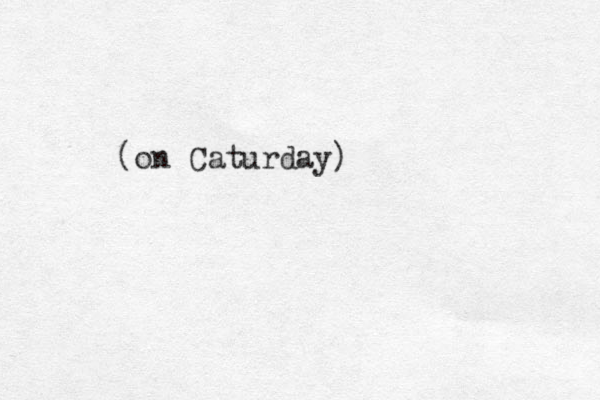(on Caturday)