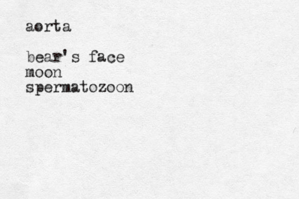 aorta bear's face moon spermatozoon