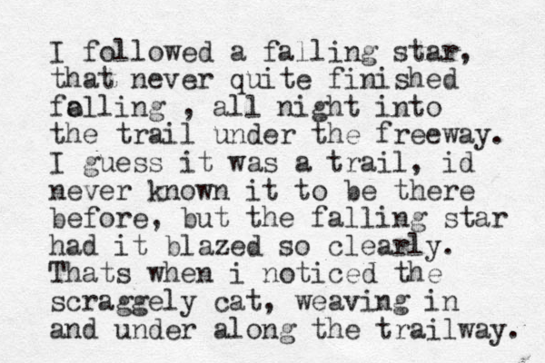 I followed a falling star, that never quite finished fo alling , all night into the trail under the freeway. I guess it was a trail, id never known it to be there before, but the falling star had it blazed so clearly. Thats when i noticed the scraggely cat, weaving in and under along the trailway. 