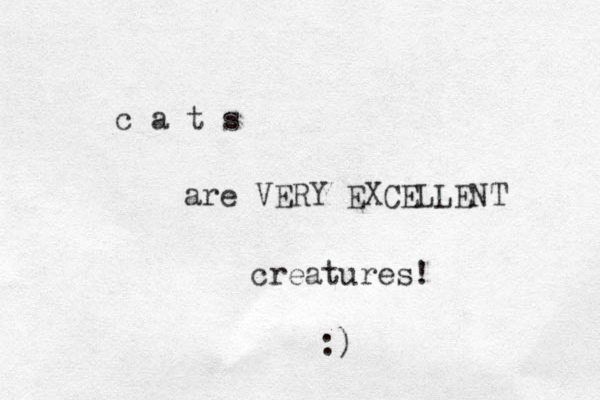 c a t s are VERY EXCELLENT creatures! :)