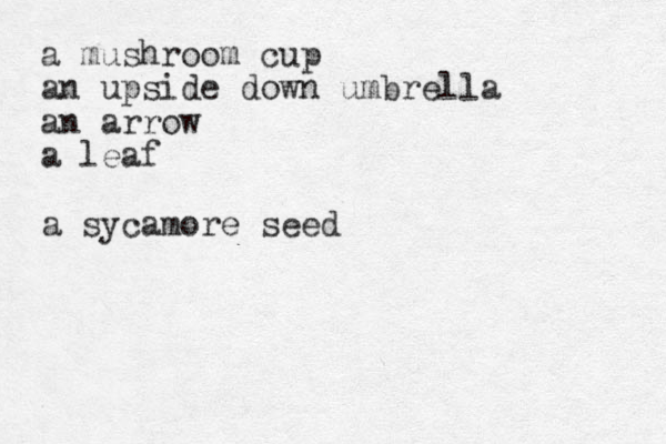 a mushroom cup an upside down umbrella an arrow a leaf a sycamore seed