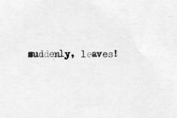 suddenly , y, leaves!