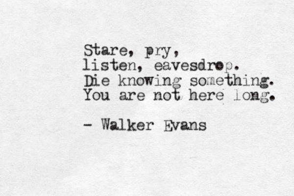 Stare, pry, listen, eavesdrop. Die knowing something. You are not here long. - Walker Evans 