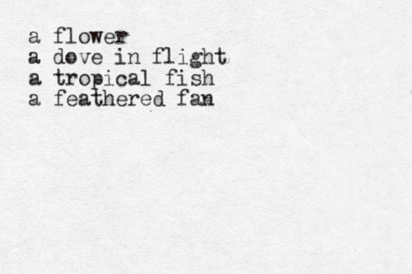 a flower a dove in flight a tropical fish a feathered fan