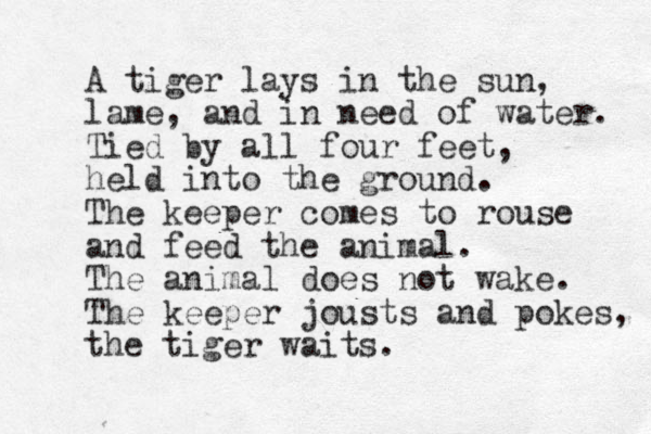 A tiger lays in the sun, lame, and in need of water. Tied by all four feet, held into the ground. The keeper comes to rouse and feed the animal. The animal does not wake. The keeper jousts and pokes, the tiger waits. 