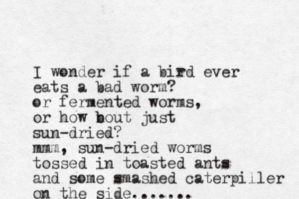 I wonder if a bird ever eats a bad worm? or fermented worms, or how n b bout just sun-dried? mmm , sun-dried worms tossed in toasted ants and some smashed caterpiller on the side.......
