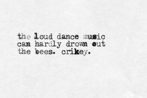 the loud dance music can hardly drown out the bees. crimey k k .