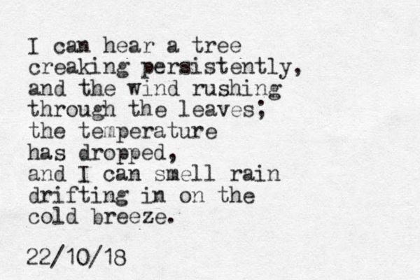 I can hear a tree creaking persistently, and the wind rushing through the leaves; the temperature has dropped, and I can smell rain drifting in on the cold breeze. 22/10/18