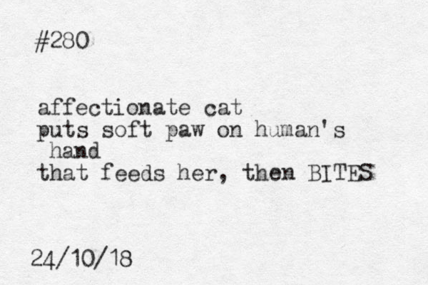 #280 affectionate cat puts soft paw on human's hand that feeds her, the en BITES 24/10/18 