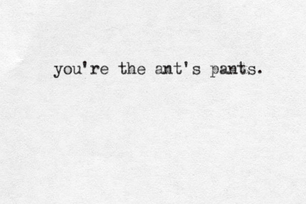 you're the ant's pants. 