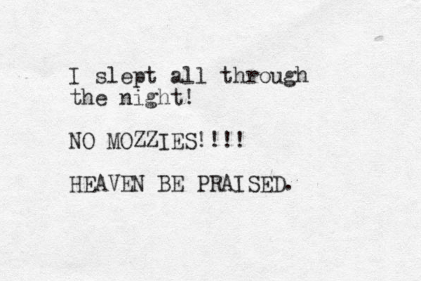 I slept all through the night! NO MOZZIES!!!! HEAVEN BE PRAISED. 