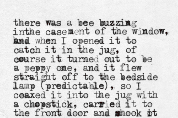 there was a bee buzzing inthe case h me t n of the window, and when I opened it to catch it in the jug, of course it turned out to be a peppy one, and it flew straight off to the bedside lamp (predictable) , so I coaxed it into the jug with a chopstick, carried it to the front door and shook o it 