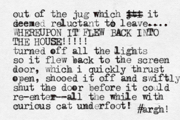 out of the jug which jt imi === it d seemed reluctant ti o o leave.... WHEREUPON IT FLEW BACK INTO THE HOUSE!!!!! turned off all the lights so it flew back to the screen door, which i quickly thrust open , shooed it off and swiftly shut the door before it could re-enter--all the while with curious cat underfoot! #argh! 
