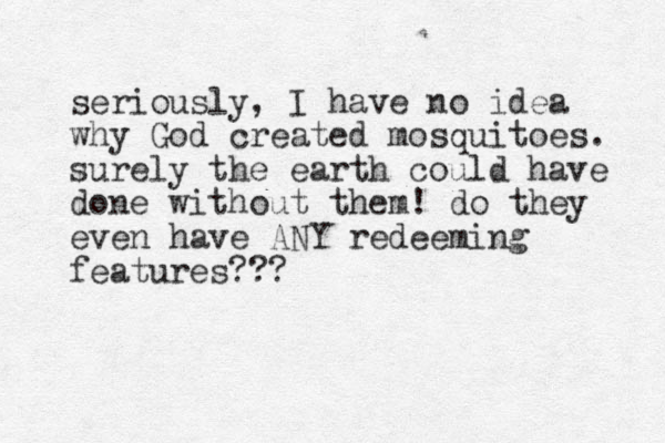 seriously, I have no idea why God created mosquitoes. surely the earth could have done without them! do they even have ANY redeeming features???