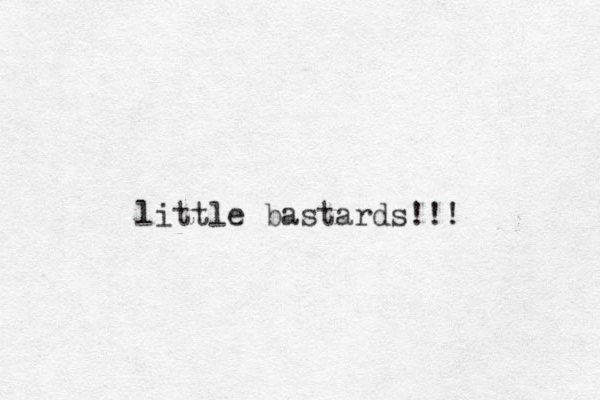 little bastards!!!