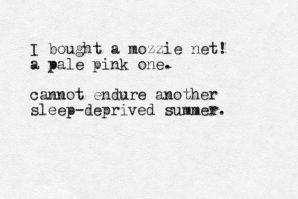 I bought a mozzie net! a pale pink one. cannot endure another sleep-deprived summer. 