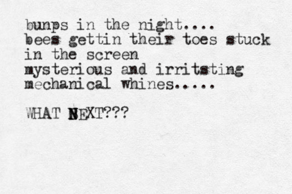 bunps in the night.... bees gettin their toes stuck in the screen mysterious and irritsting mechanical whines..... WHAT BEXT??? N N N N 