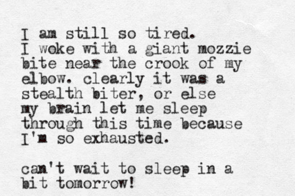 I am still so tired. I woke with a giant mozzie bite near the crook of my elbow. clearly it was a stealth biter, or else my brain let me sleep through this time because I'm so exhausted. can't wait to sleep in a bit tomorrow!