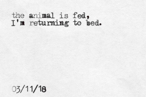 the animal is fed, I'm returning to bed. 03/11/18