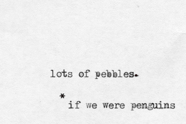 lots of pebbles. if we were penguins * 