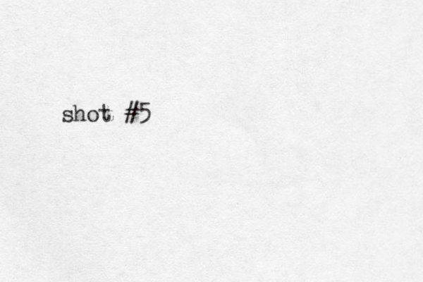 shot #5