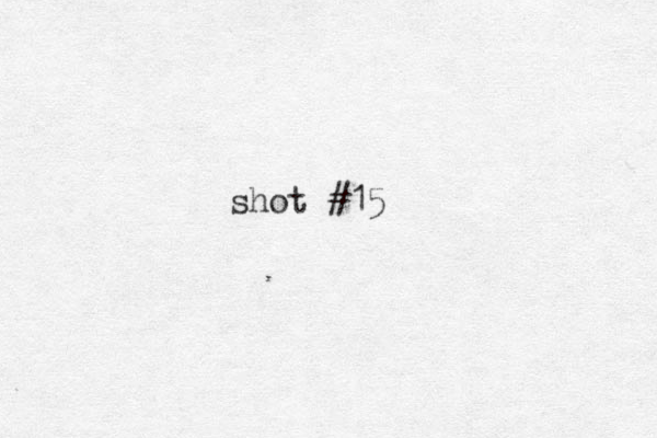 shot #15