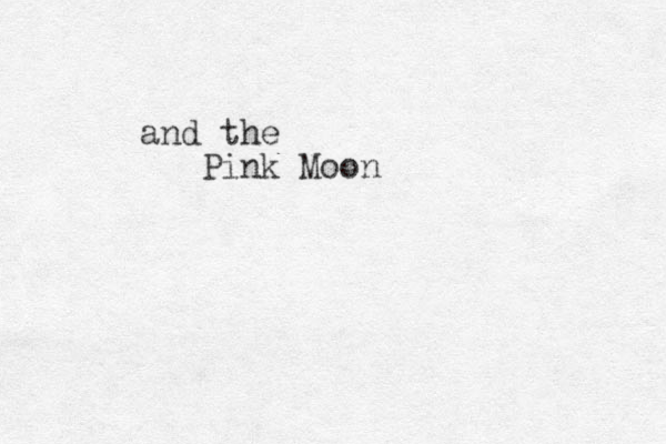 and the Pink Moon