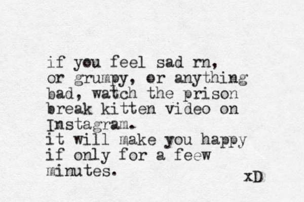 if you feel sad rn, or grumpy, or anything bad, watch the prison break kitten video on Instagram. it will make you happy if only for a fee w minutes. xD 