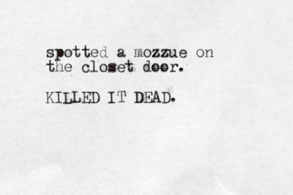 spotted a mozzue on the closet door. KILLED IT DEAD.