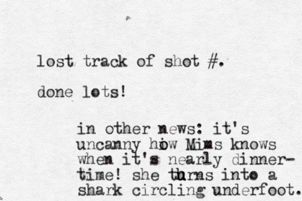 lost track of shot #. done lots! in other news: it's uncanny hiw o o Mims knows when it's nearly dinner- time! she thrns i to u u h n a shark circling underfoot. 
