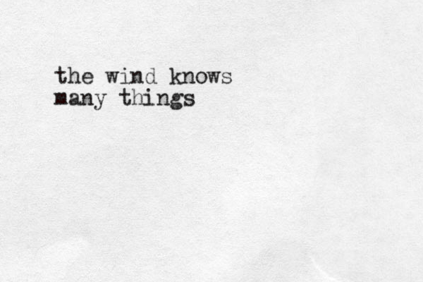 the wind knows many things