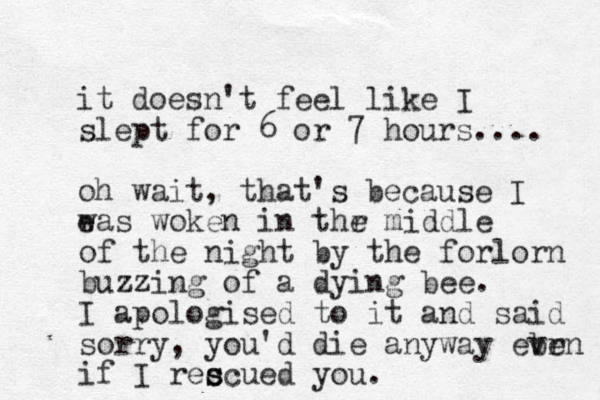 it doesn't feel like I slept for 6 or 7 hours.... oh wait, that's e because I was woken in thr e middle of the night by the forlorn buzzing of a dying bee. I apologised to it and said sorry, you'd die anyway ebr ven if I rec s scued you. 