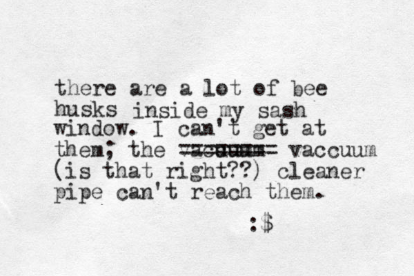 there are a lot of bee husks inside my sash window. I can't get at them; the vacuum cuum ======== vaccuum (is that right??) cleaner pipe can't reach them. :$