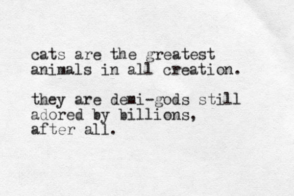 cats are the greatest animals in all creation. they are demi-gods still adored by billions, after all. 