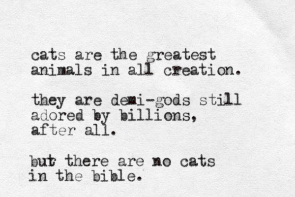 cats are the greatest animals in all creation. they are demi-gods still adored by billions, after all. bur t there are no cats in the bible. 