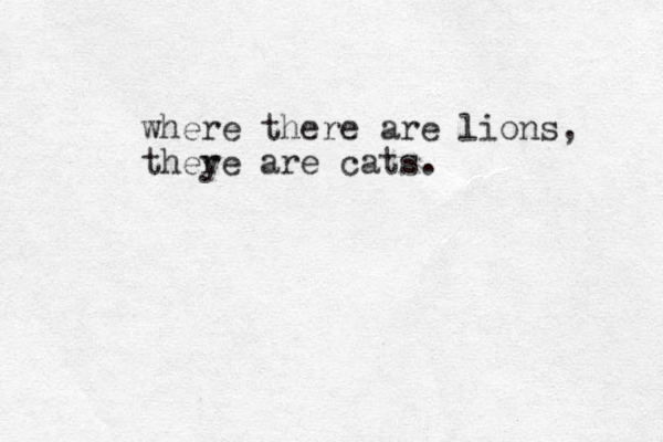 where there are lions, they re are cats.