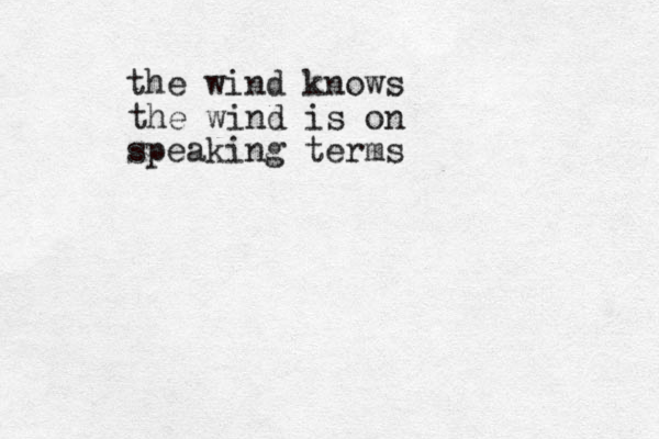 the wind knows the wind is on speaking terms
