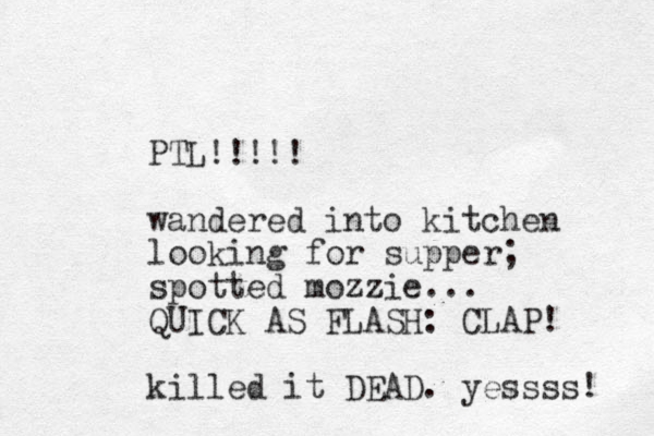PTL!!!!! wandered into kitchen looking for supper; spotted mozzie... QUICK AS FLASH: CLAP! killed it DEAD. yessss! 