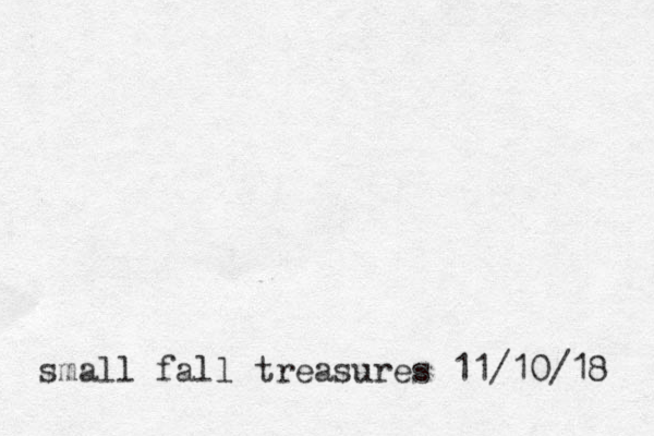 small fall treasures 11/10/18 