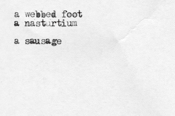 a webbed foot a nasturtium a sausage