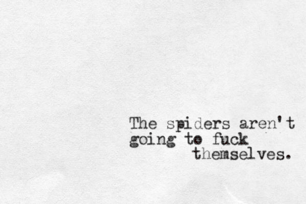 The spiders aren't going to fuck themselves. 