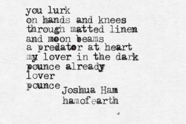 you lurk on hands and knees through matted linen and moon beams a predator at heart mu y lover in the dark pounce already lover pounce Joshua Ham hamofearth 
