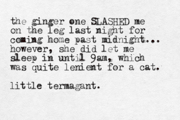 the ginger one SLASHED me on the leg last night for coming home past midnight... however, she did let me sleep in until 9am, which was quite lenient for a cat. little termagant.